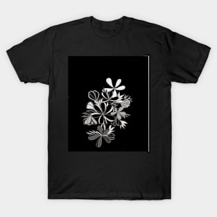 Psycho Flowers on Black T-Shirt